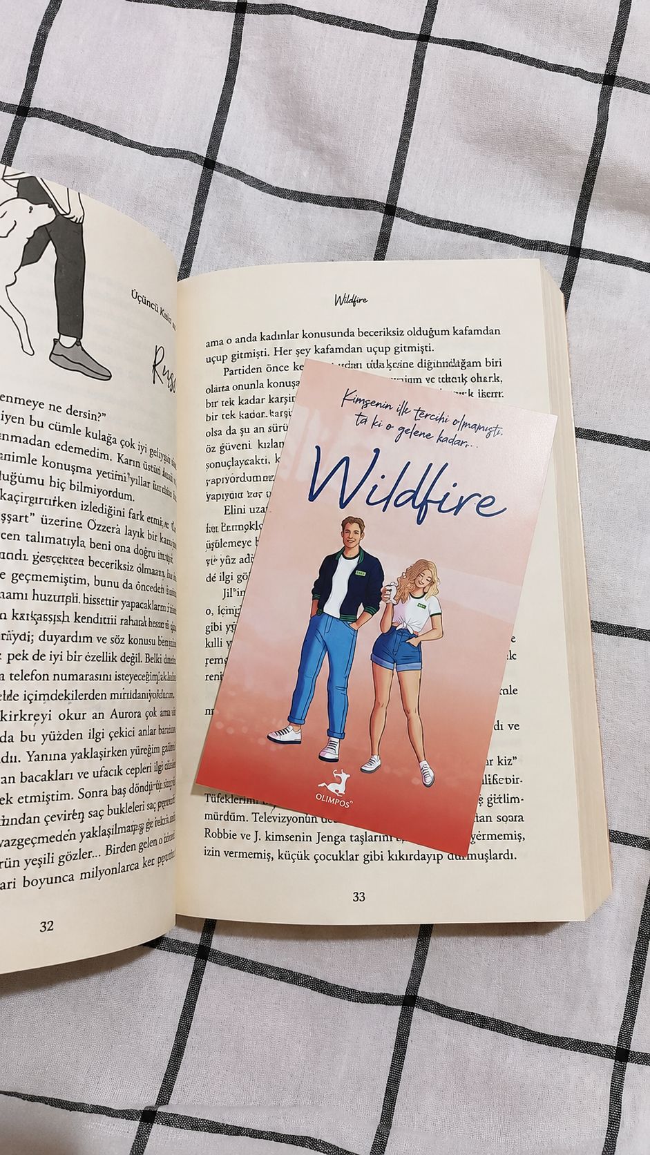 Wildfire Kitabı — görsel 2/3