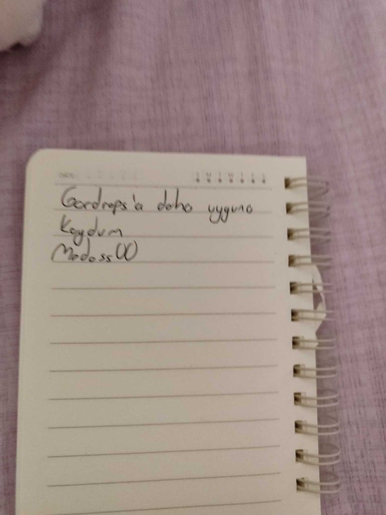 postacı çantası — görsel 4/4