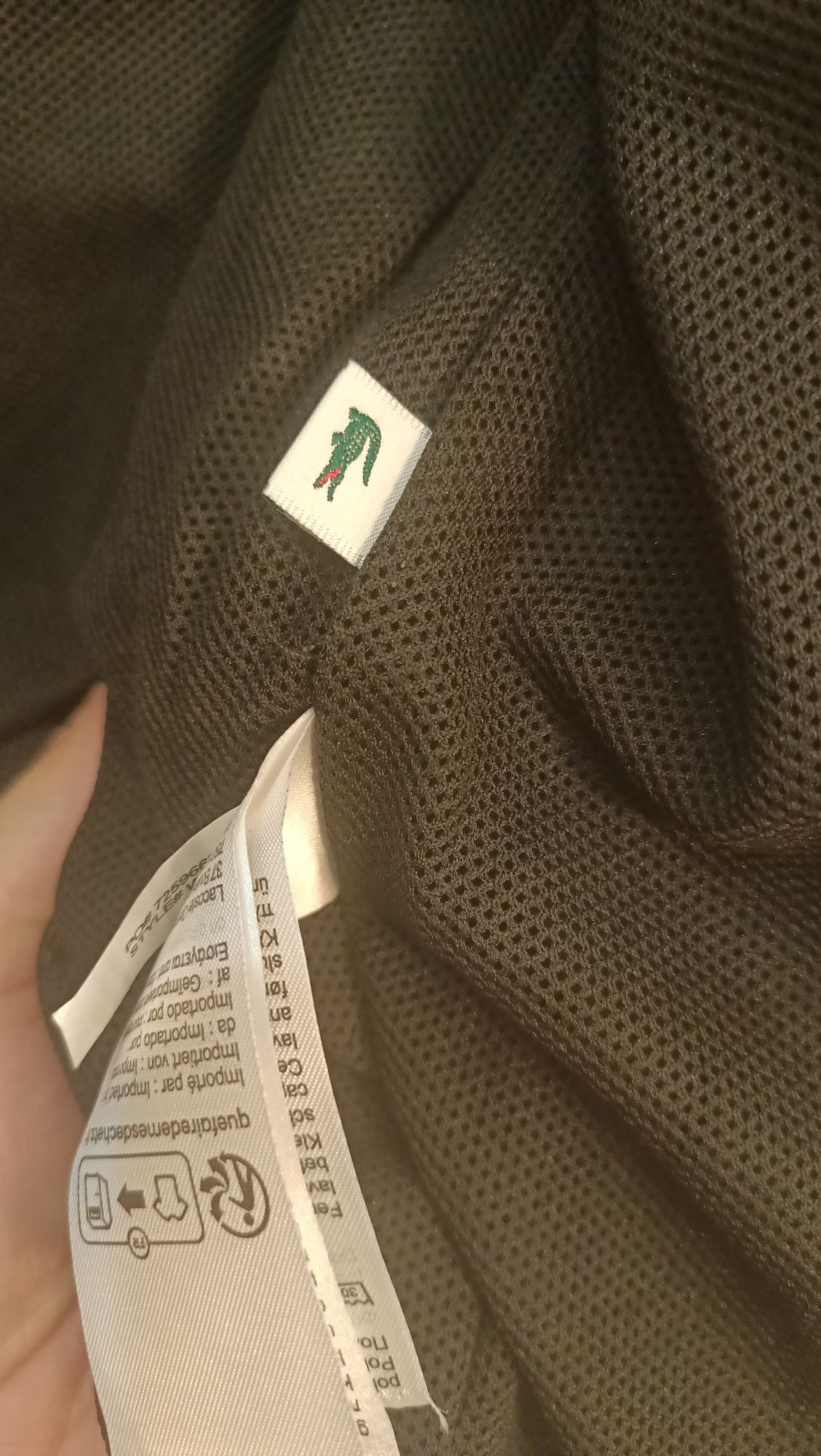Lacoste Eşofman Takımı — görsel 16/17
