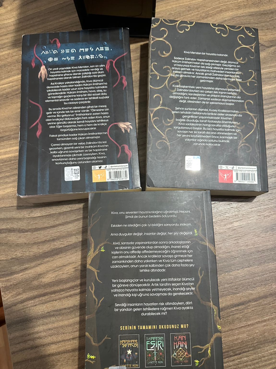 Hapishane Şifacısı- LYNETTE NONI — görsel 2/5