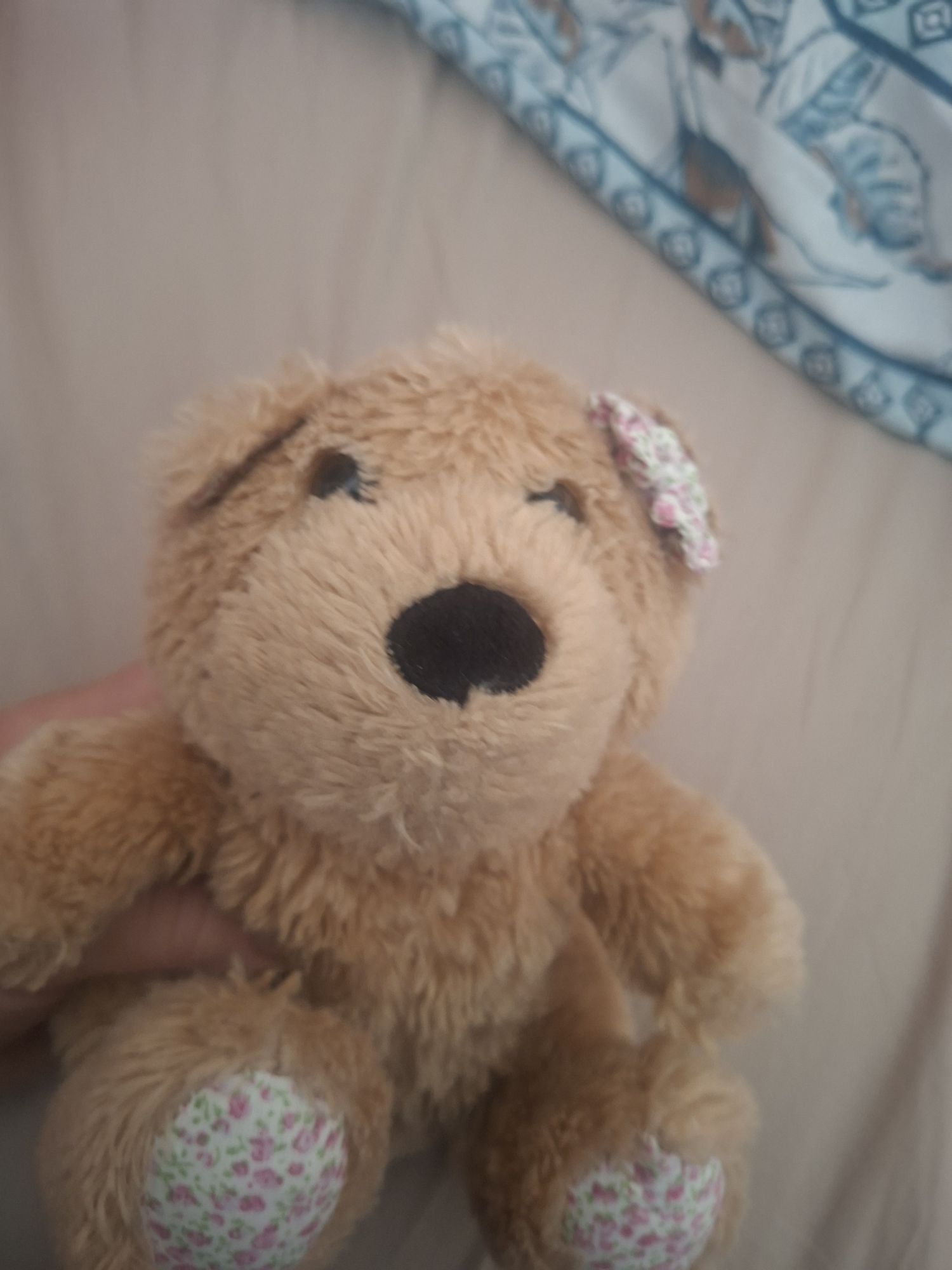 Peluş Ayıcık — görsel 5/6