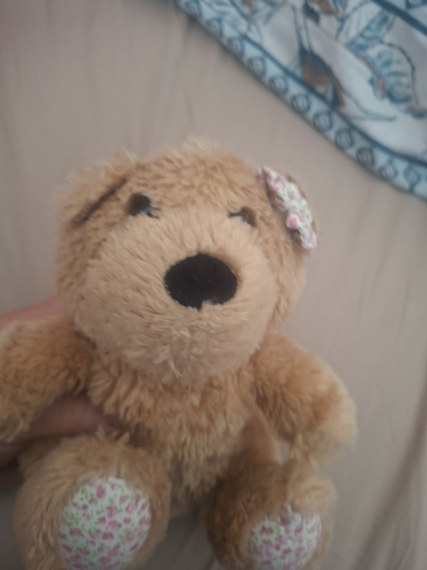Peluş Ayıcık — görsel 6/6