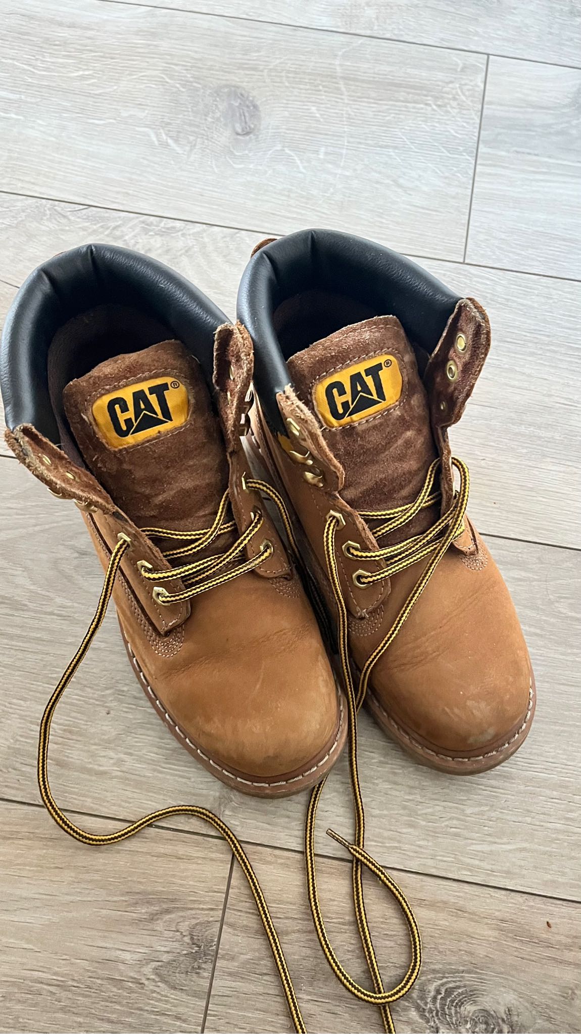 CAT Bot — görsel 4/4