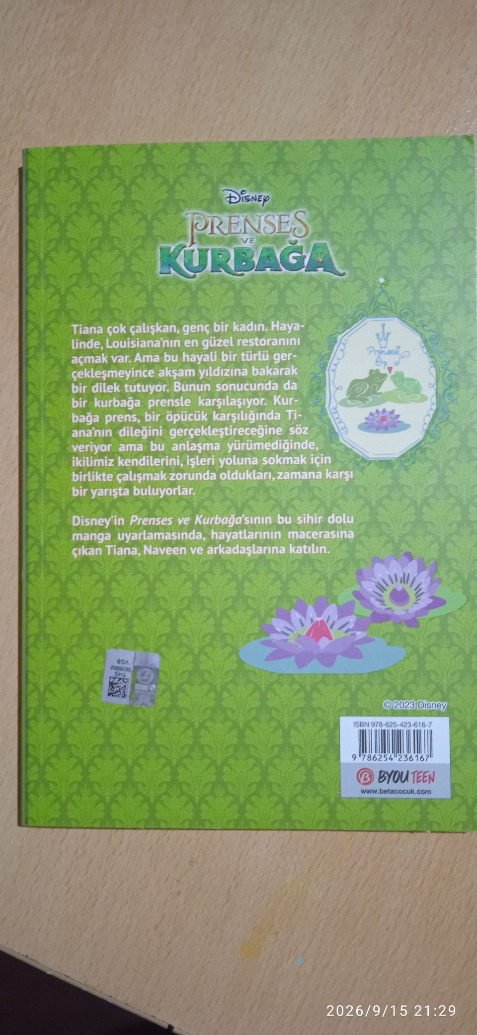 Disney Prenses ve Kurbağa Kitabı — görsel 2/5