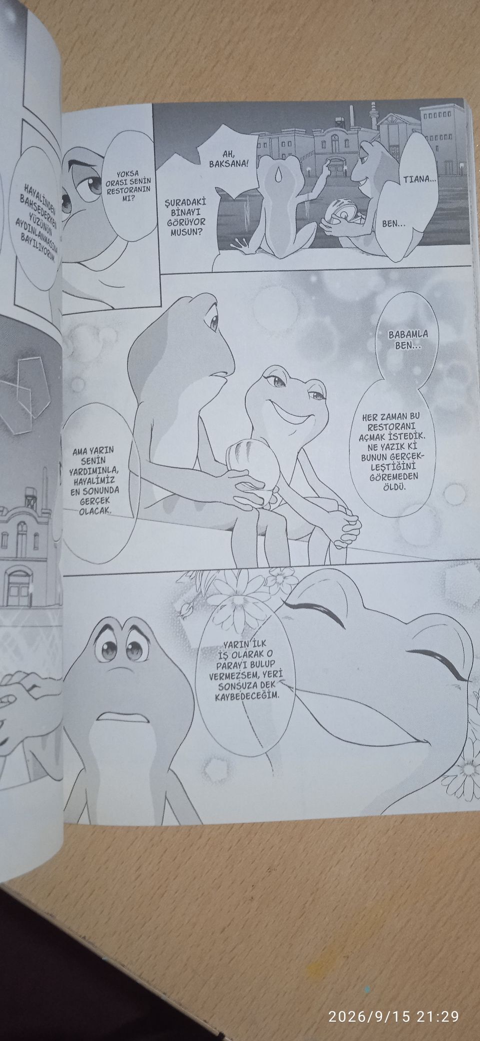Disney Prenses ve Kurbağa Kitabı — görsel 3/5