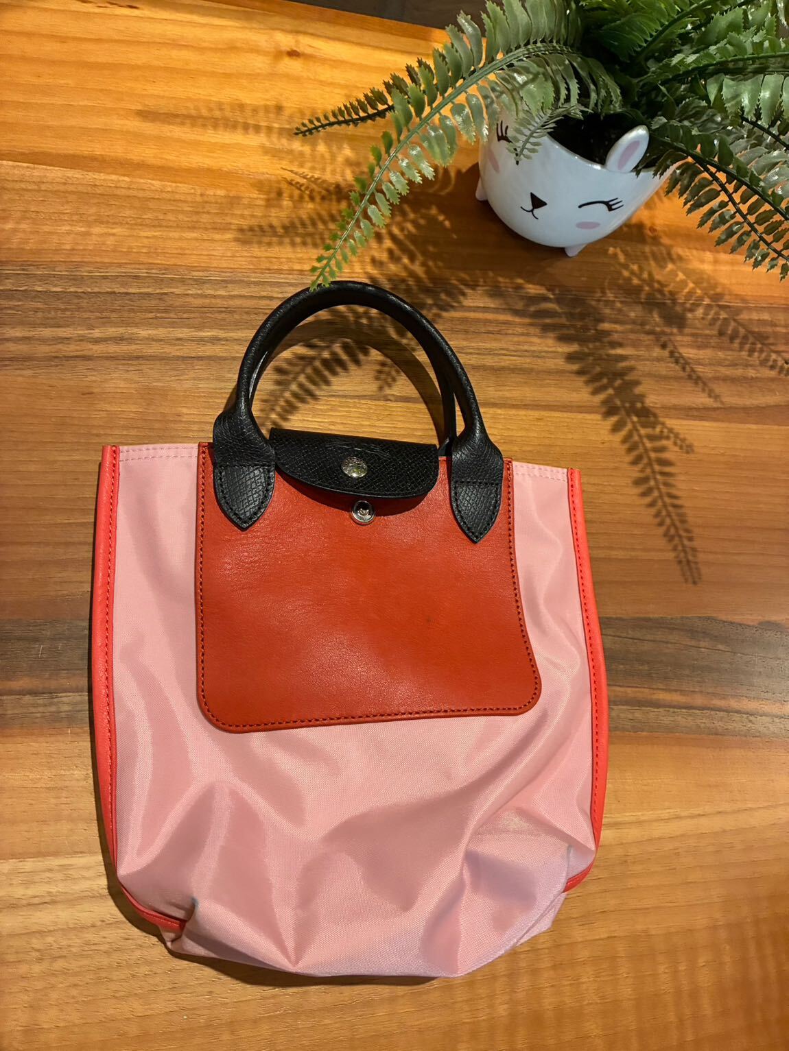 Longchamp Pembe Deri Mini El Çantası — görsel 2/4