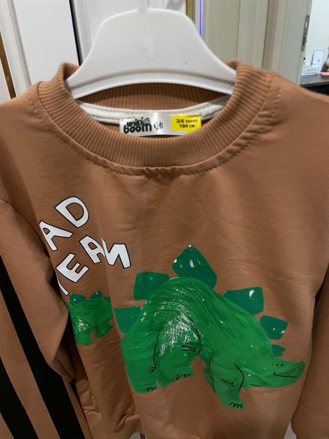 Dinozor Baskılı Sweatshirt ve Eşofman — görsel 2/6