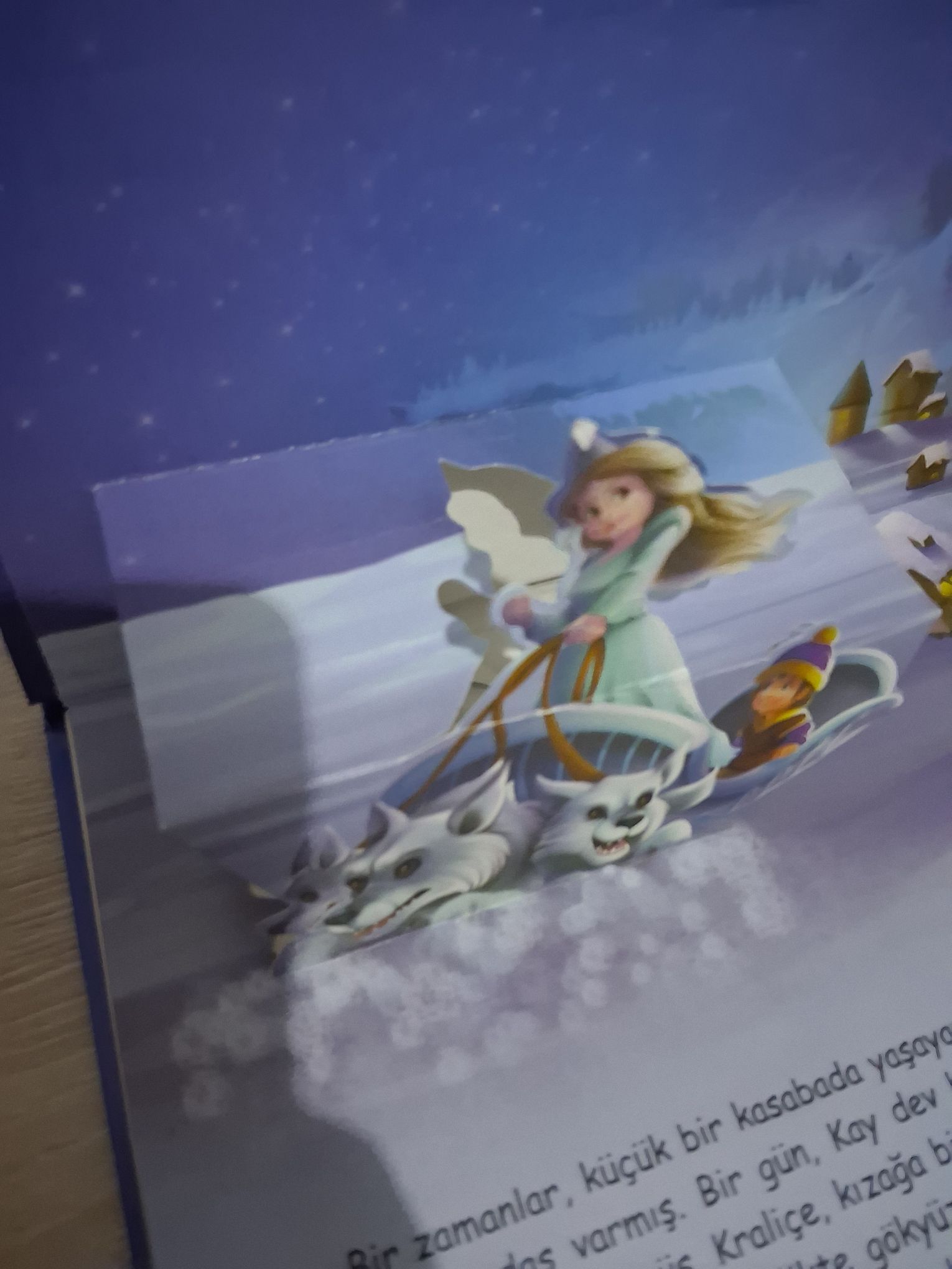 Karlar Kraliçesi ve Külkedisi Kitap Seti — görsel 3/3