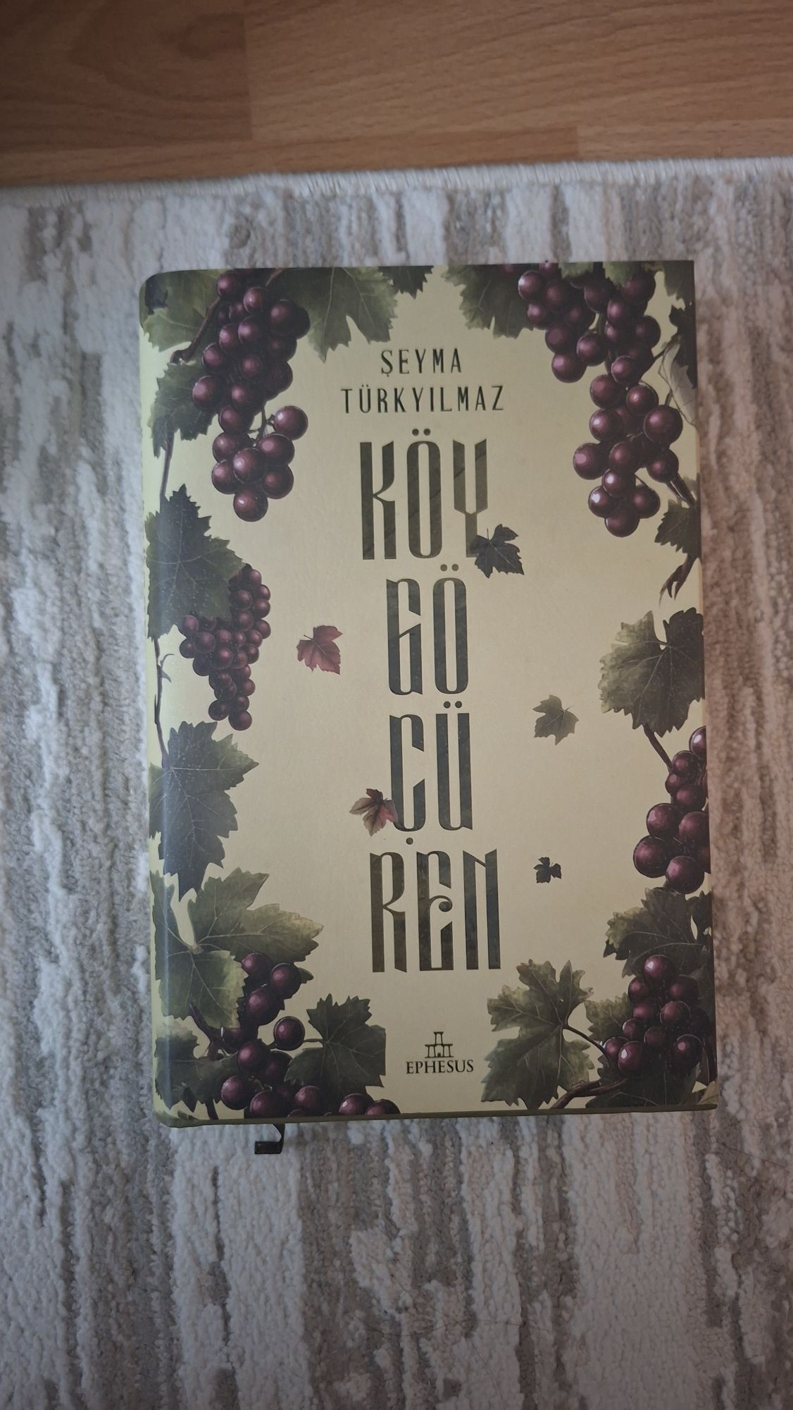 Köy Göçü Roman Seti — görsel 2/5