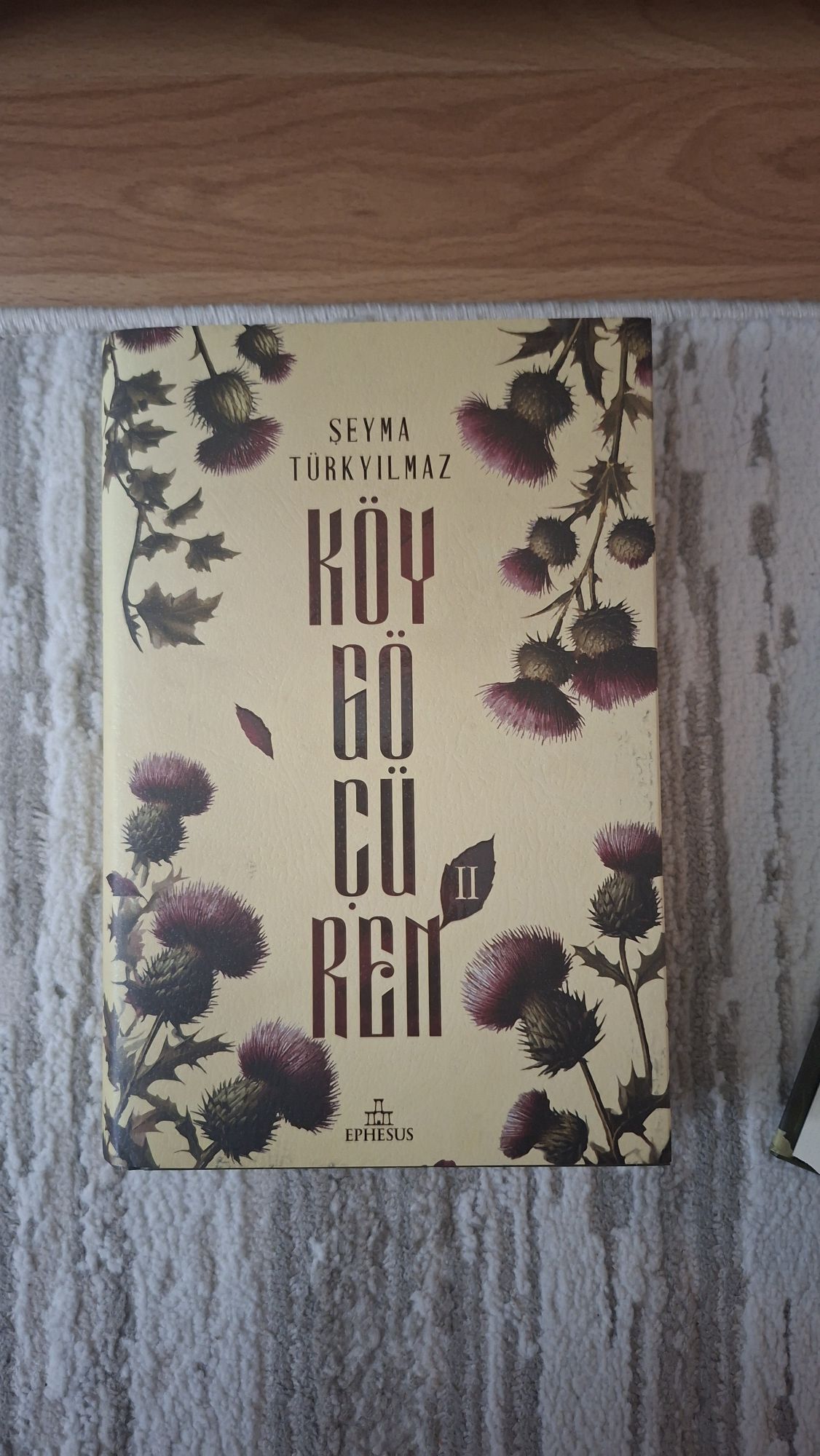Köy Göçü Roman Seti — görsel 4/5