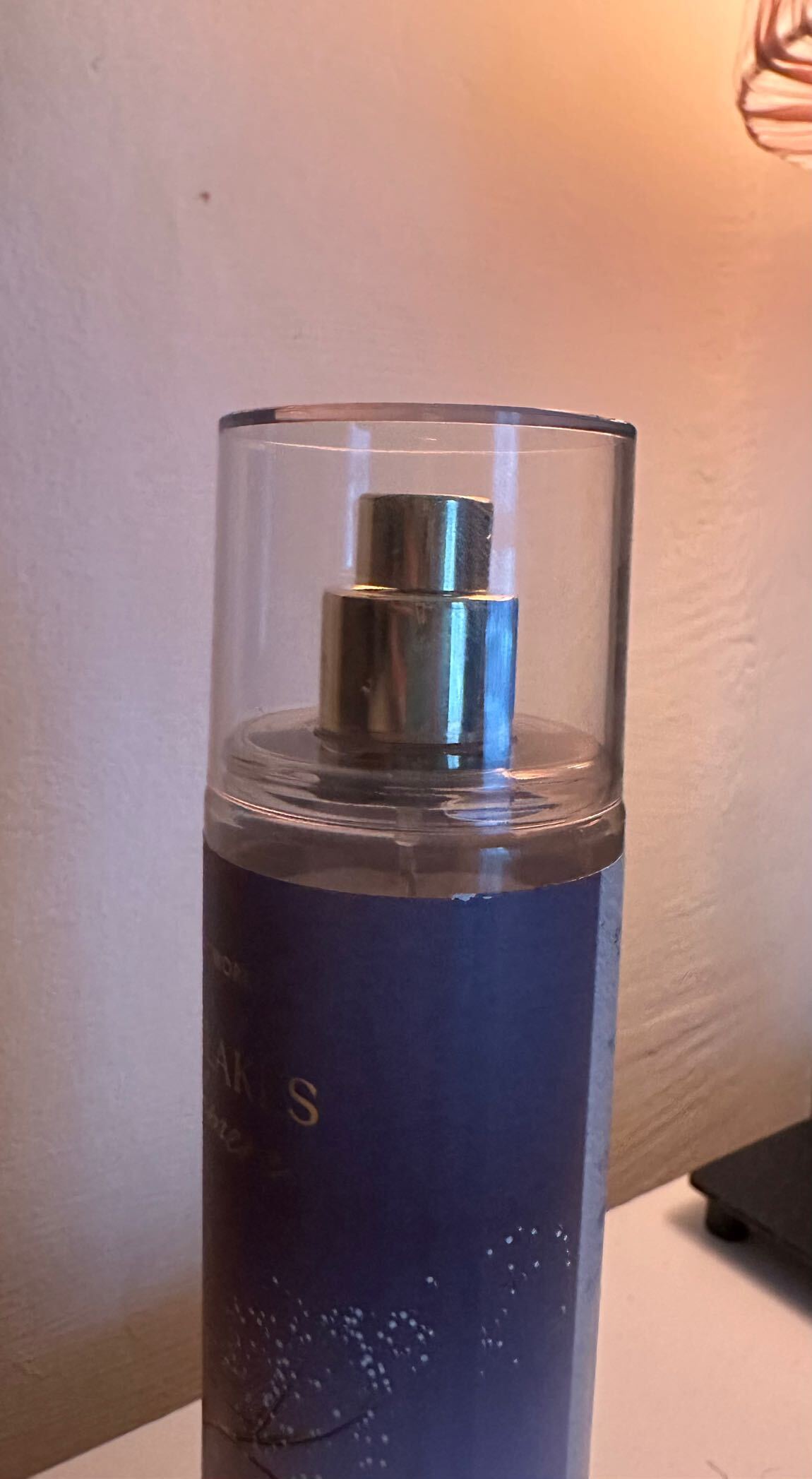 Bath & Body Works Vücut Spreyi — görsel 2/2