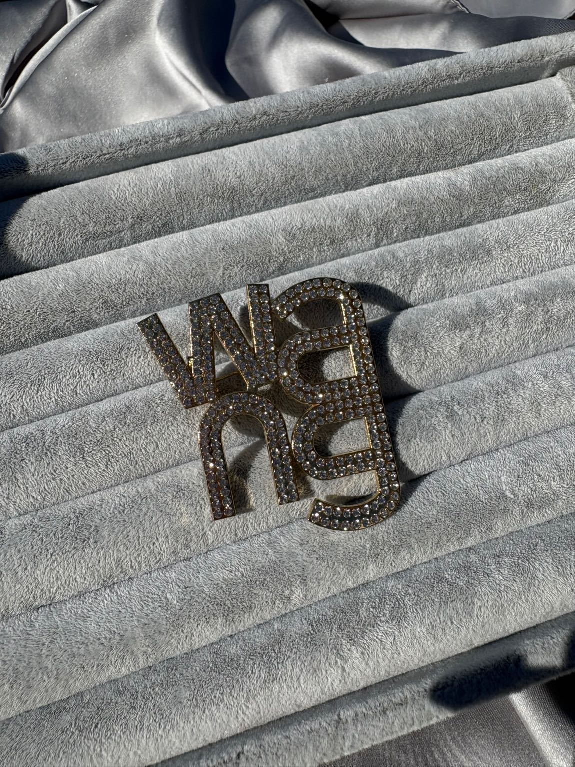 Alexander Wang Broş — görsel 2/4