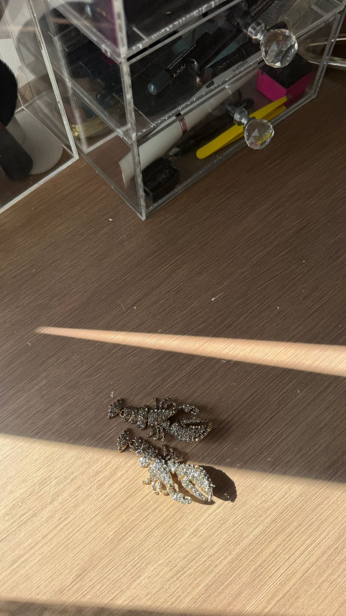 Zara ıstakoz küpe — görsel 11/12
