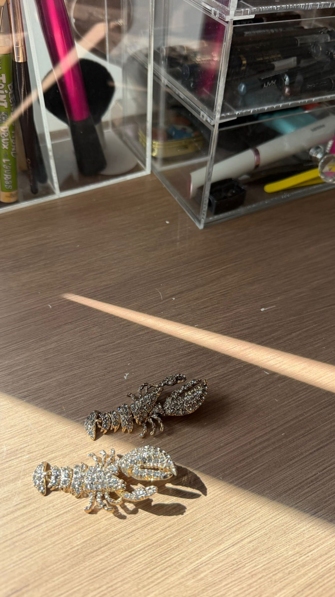 Zara ıstakoz küpe — görsel 4/12