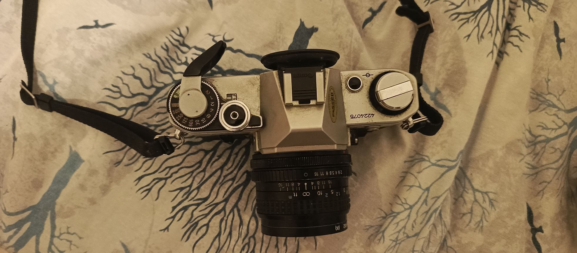 Canon AE-1 Filmli Fotoğraf Makinesi — görsel 6/8