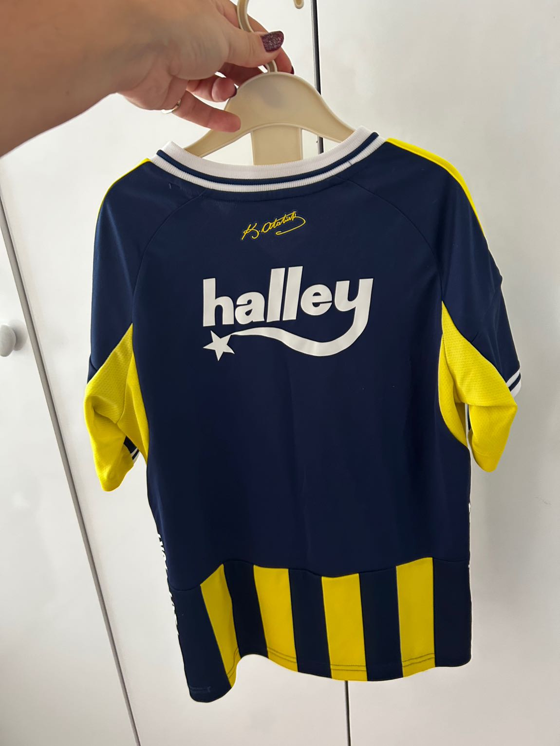 Fenerbahçe Çubuklu Forma — görsel 2/3