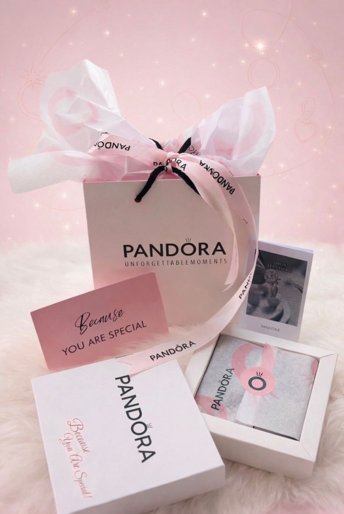 Pandora Moments Kalp Klipsli Bileklik — görsel 6/6