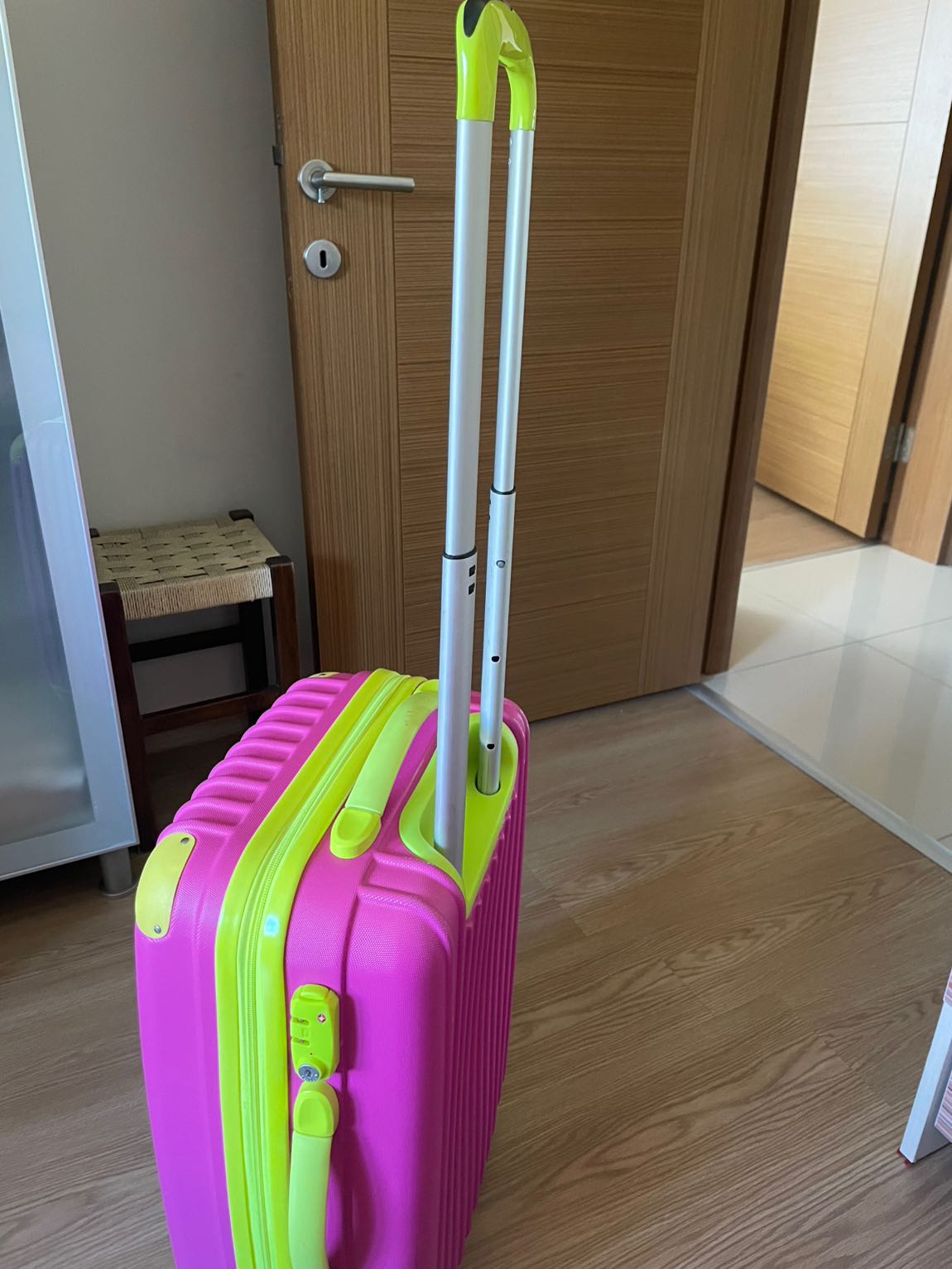Pembe Valiz — görsel 5/11