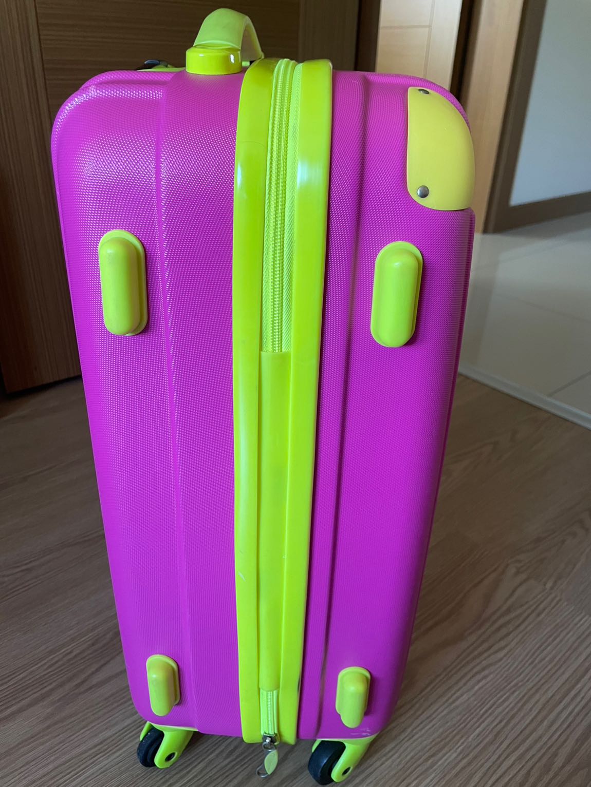 Pembe Valiz — görsel 2/11