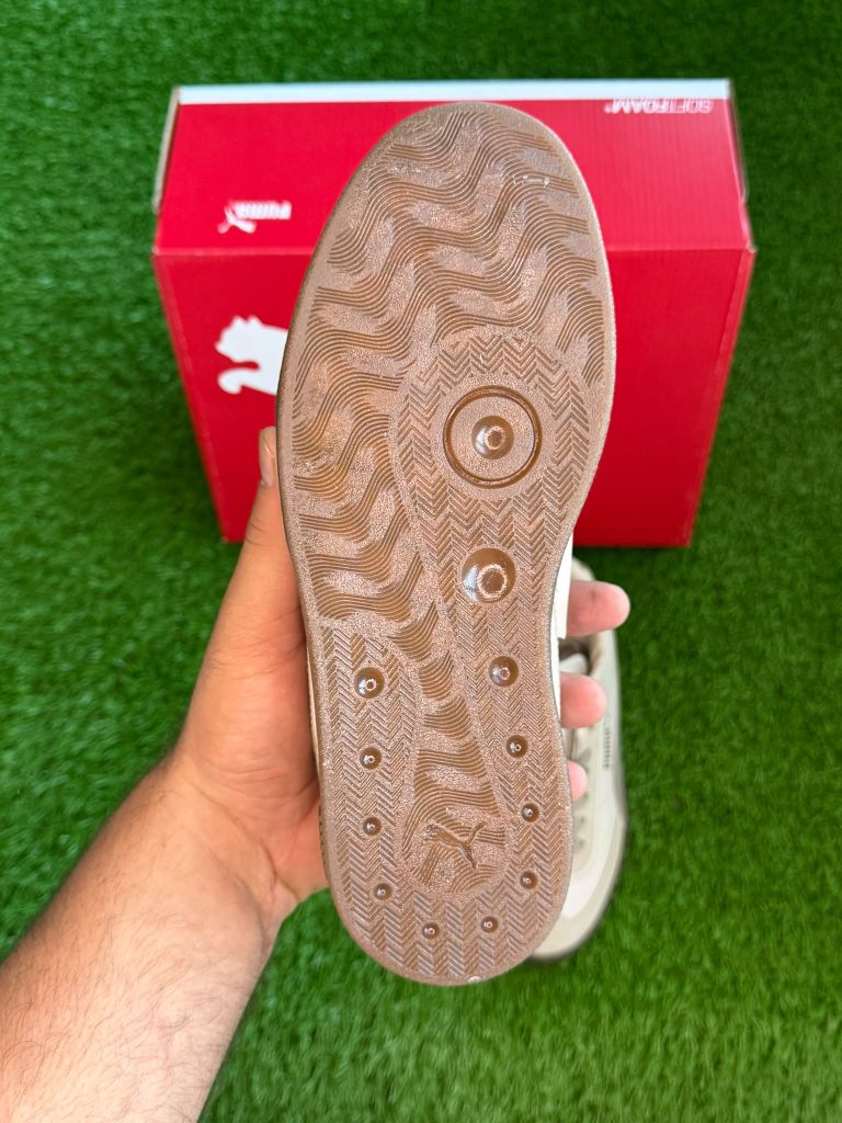 Puma — görsel 4/4