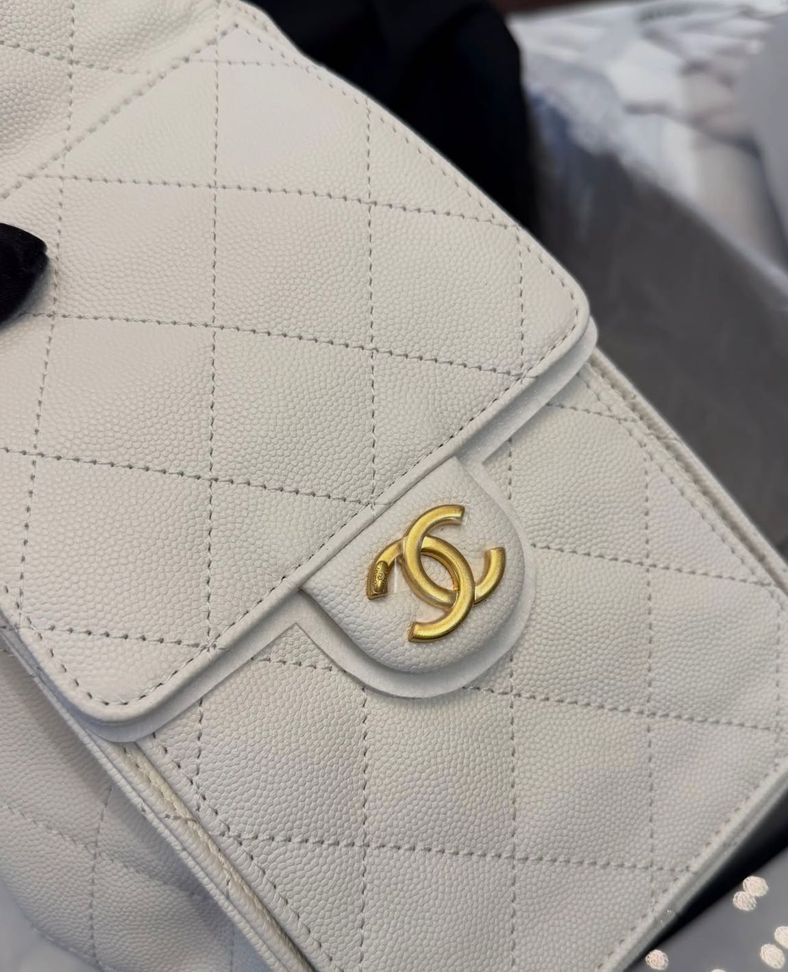 Chanel Hobo Bag — görsel 5/17