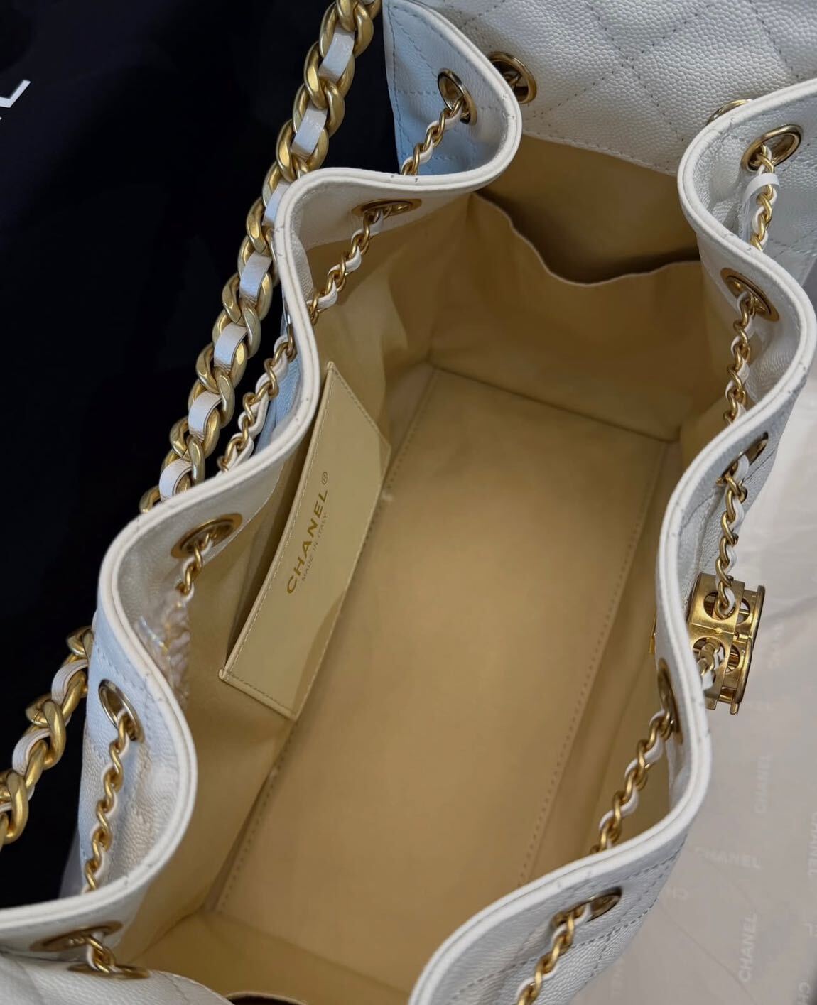 Chanel Hobo Bag — görsel 13/17