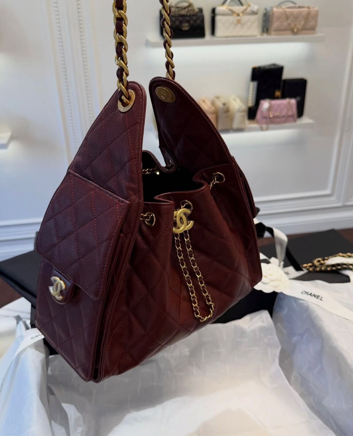 Chanel Hobo Bag — görsel 2/17