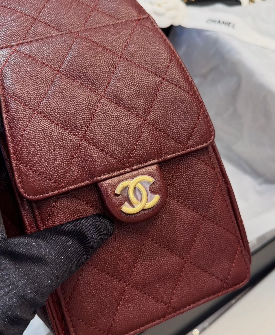 Chanel Hobo Bag — görsel 6/17
