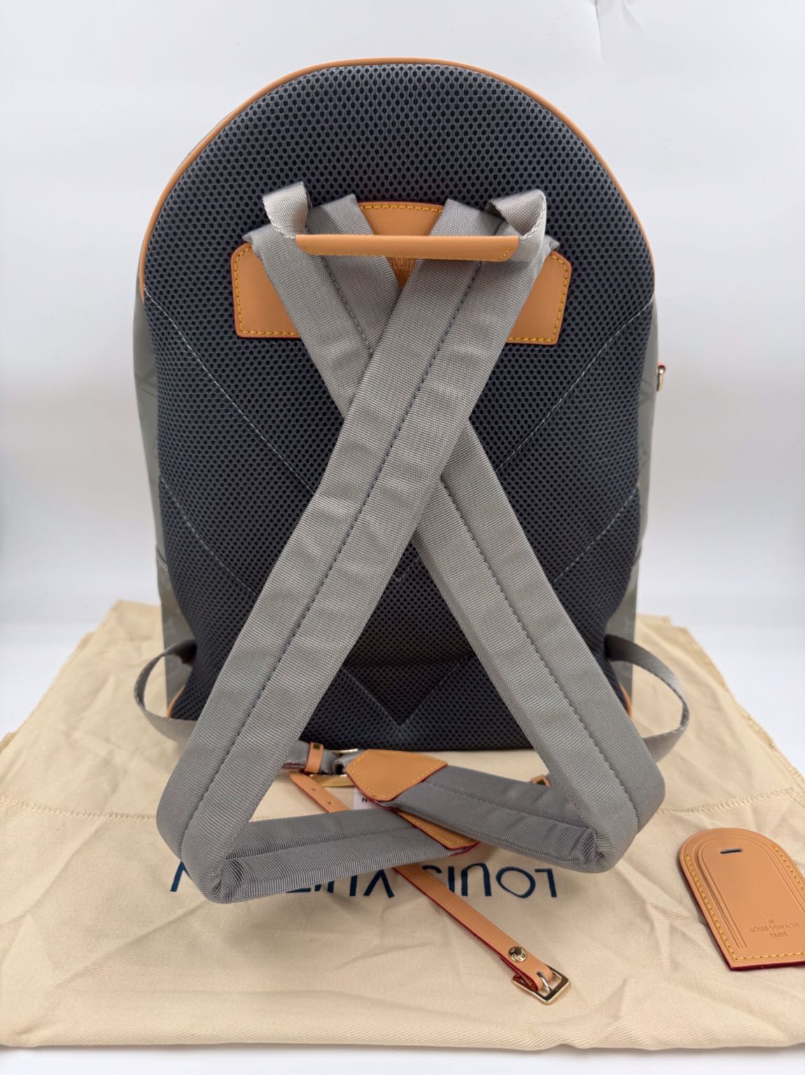 Louis Vuitton sırt çantası — görsel 2/8