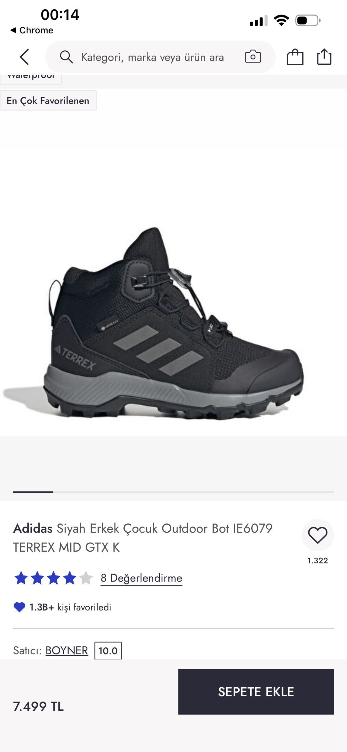 Adidas Terrex Su Geçirmez Bot — görsel 10/10