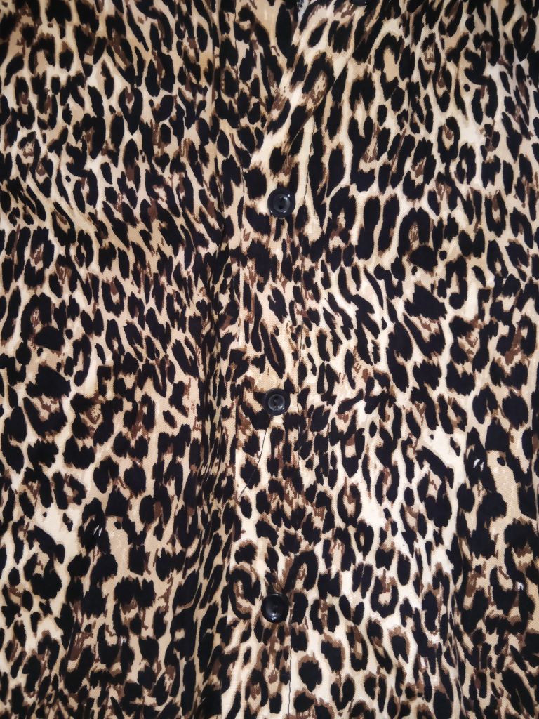 Leopar Desenli Gömlek — görsel 2/5