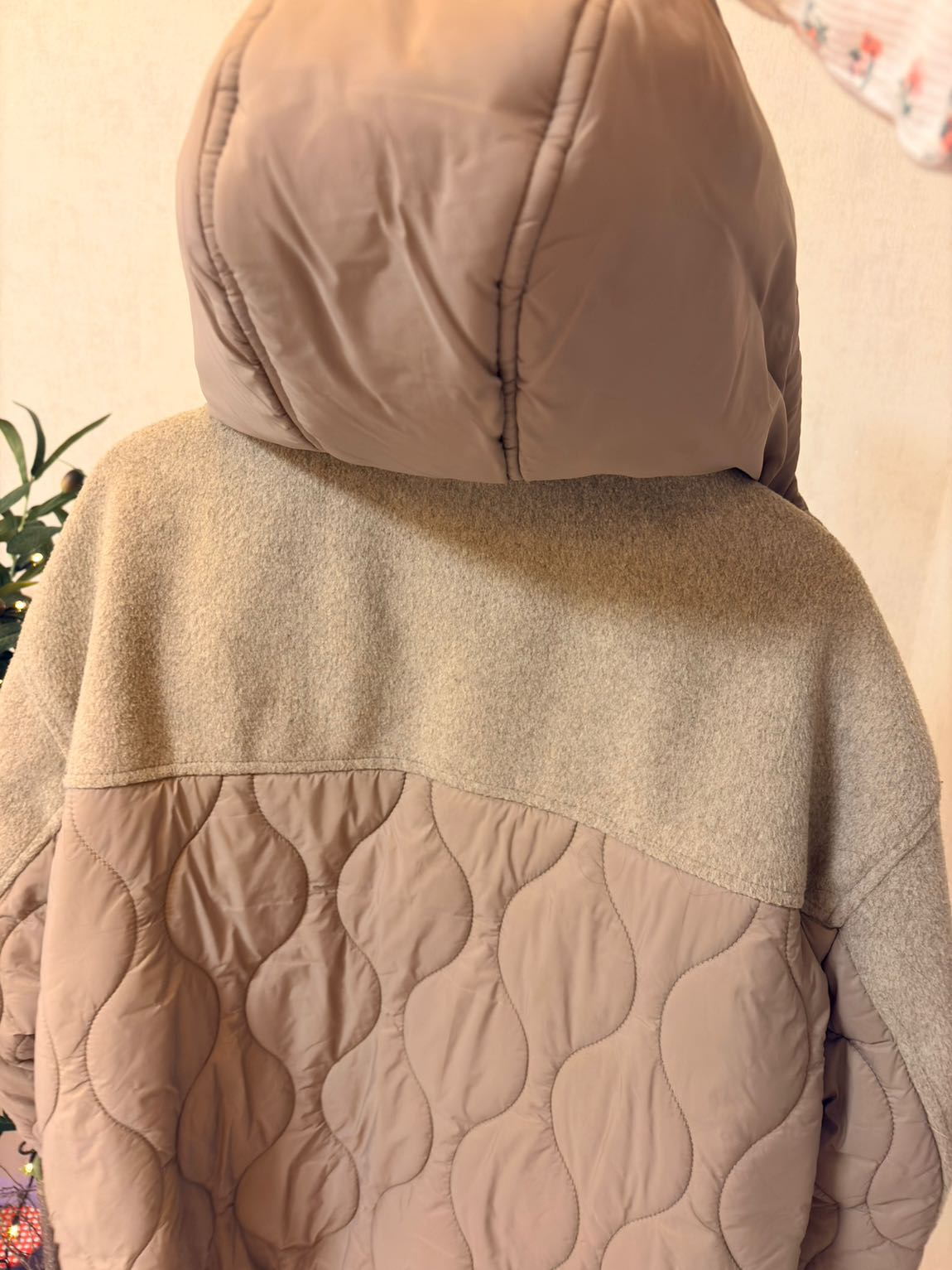 LCW Kapüşonlu Mont — görsel 3/12