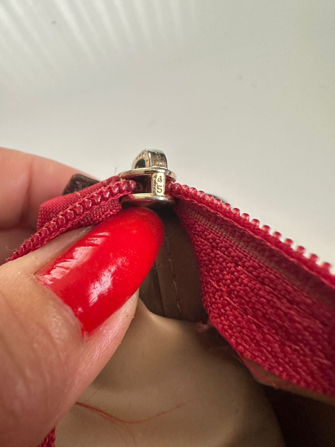 Longchamp — görsel 12/13