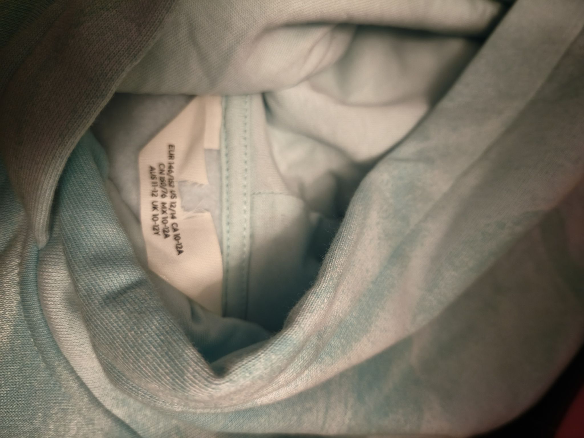 H&M Marka Eevee Kapüşonlu Sweatshirt — görsel 4/4