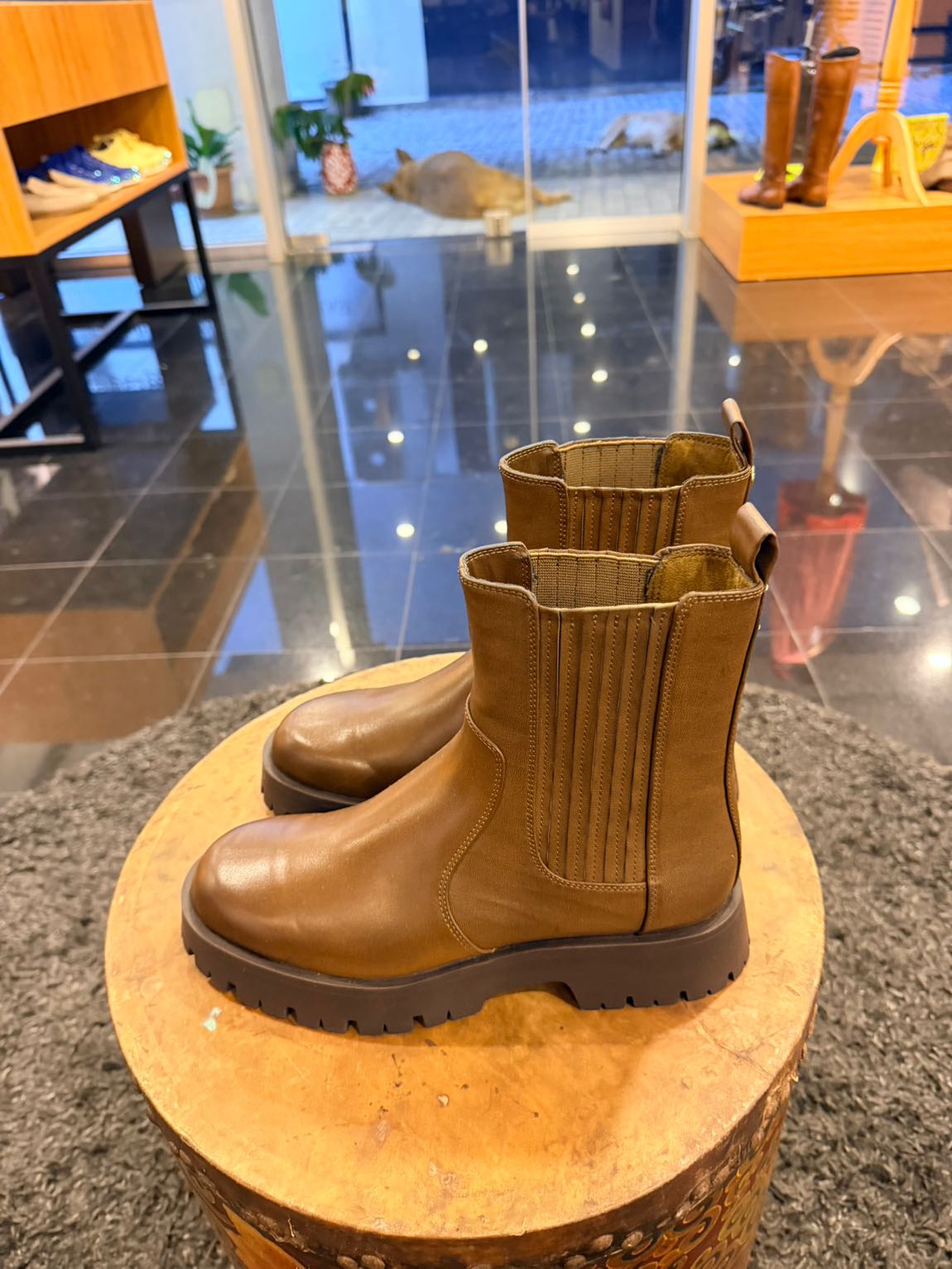 Zara Bot — görsel 5/6
