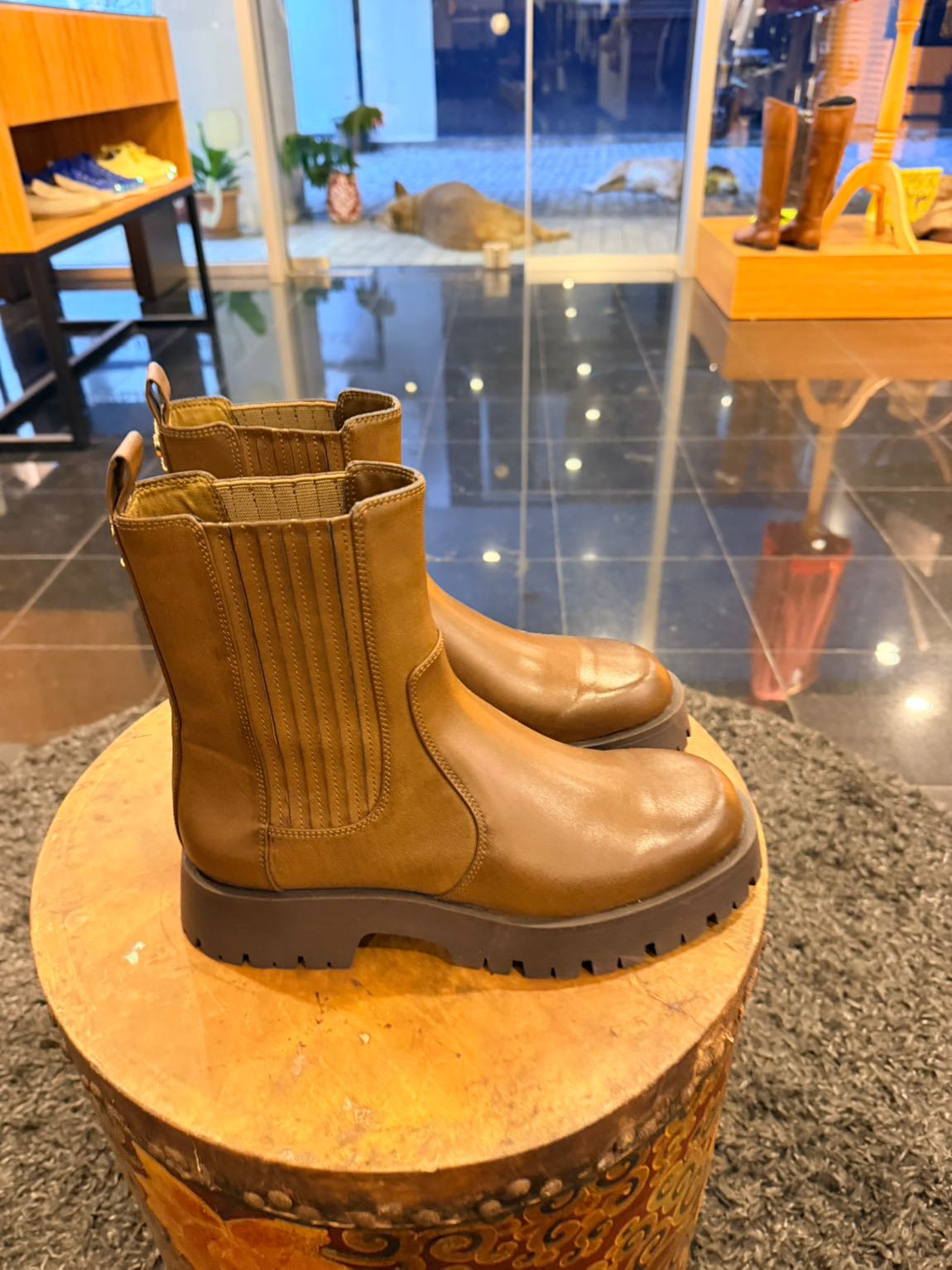 Zara Bot — görsel 6/6