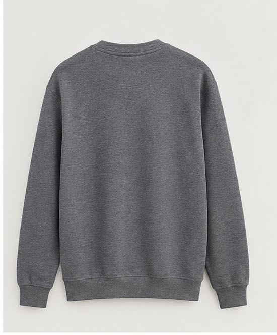 U.S.Polo Etiketli Erkek Sweatshirt — görsel 2/6
