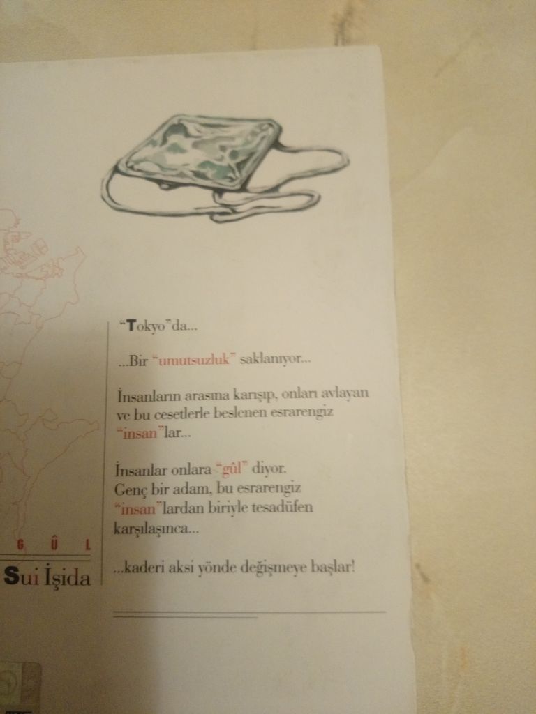 manga — görsel 3/3