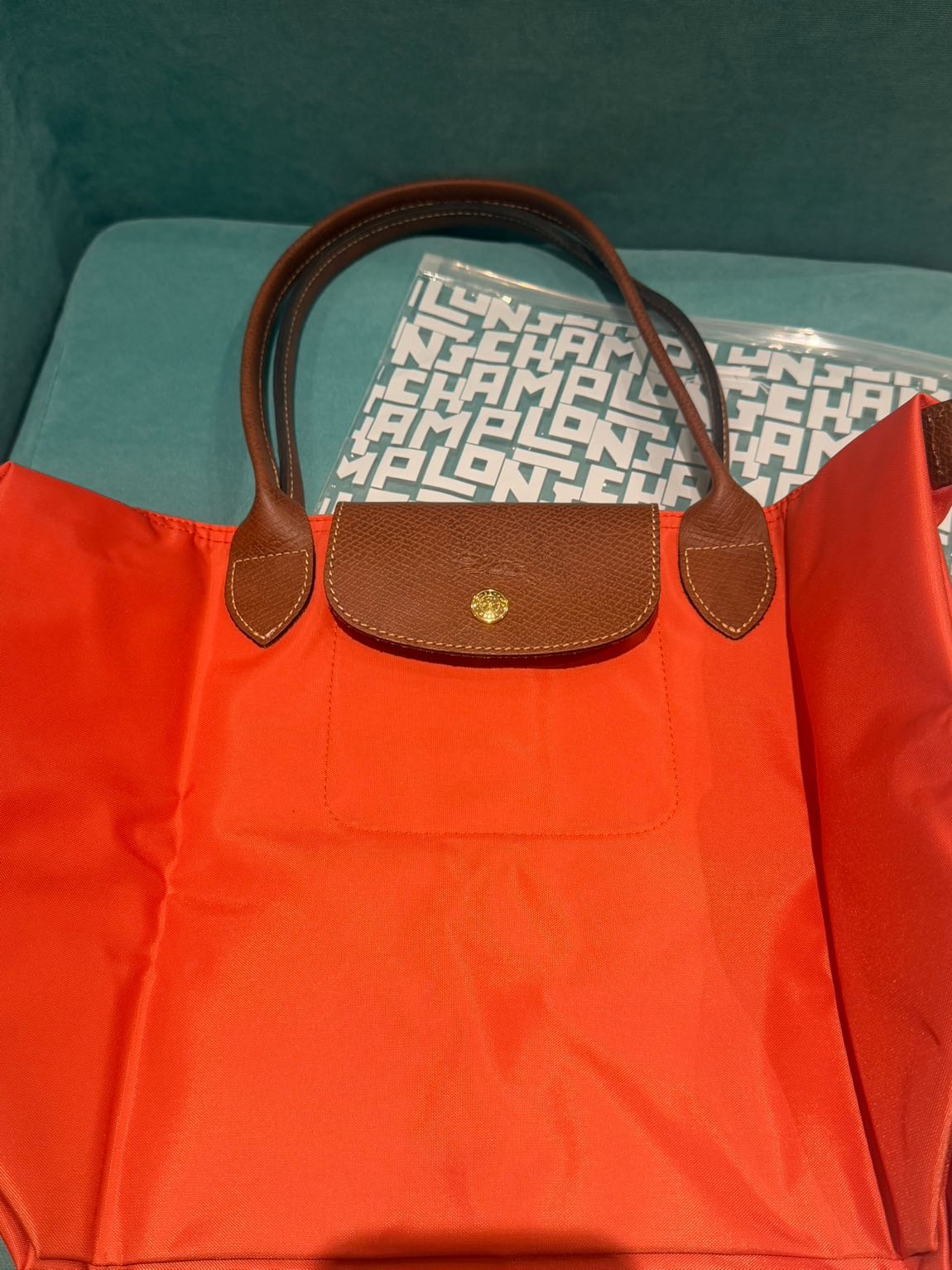 Longchamp canta — görsel 3/6