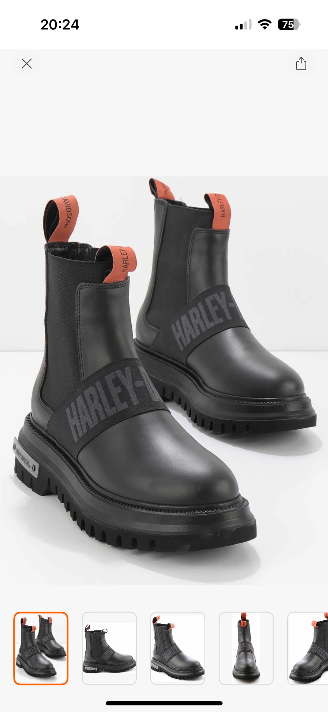 Harley Davidson bot — görsel 4/6