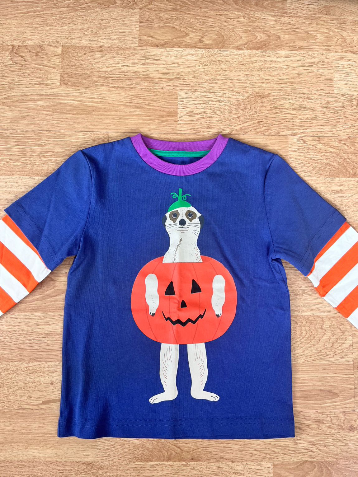 Mini Boden Tshirt — görsel 3/4
