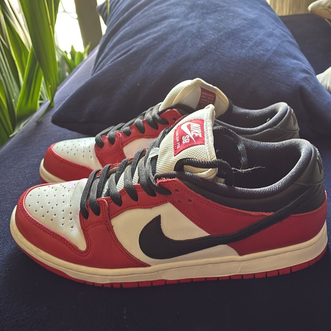 Nike SB Dunk Chicago — görsel 8/8