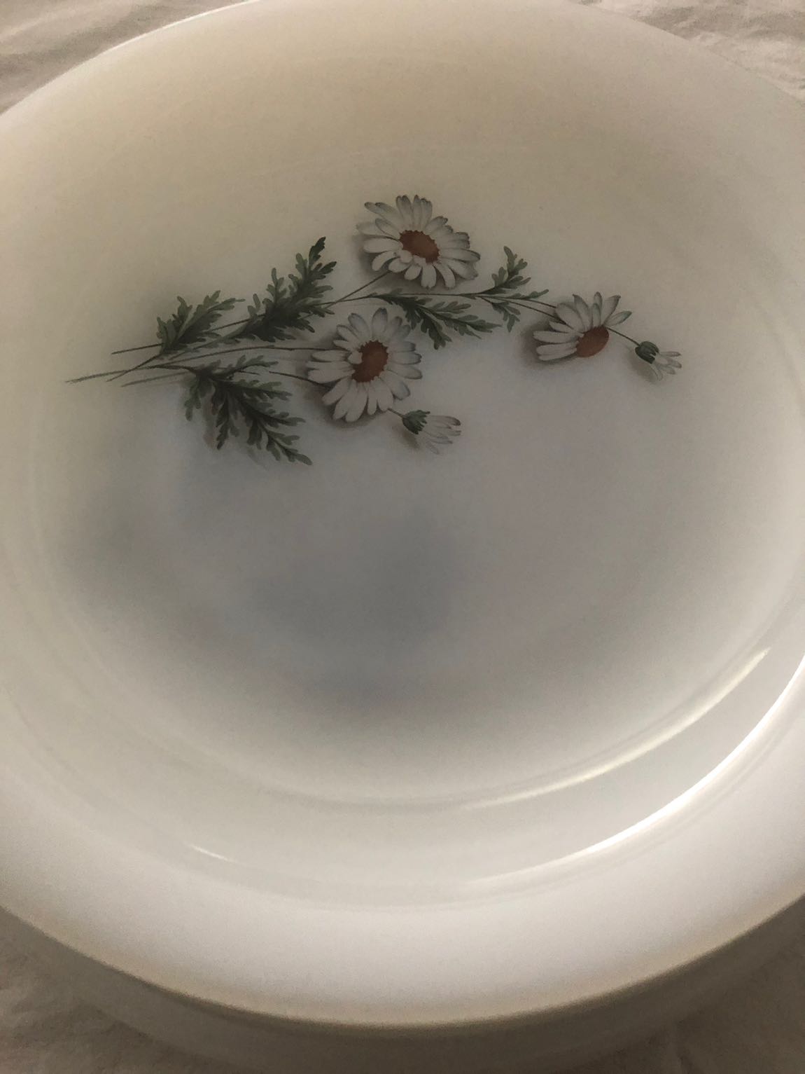 ARCOPAL FRANCE PAPATYALI SERVİS TABAk — görsel 8/8