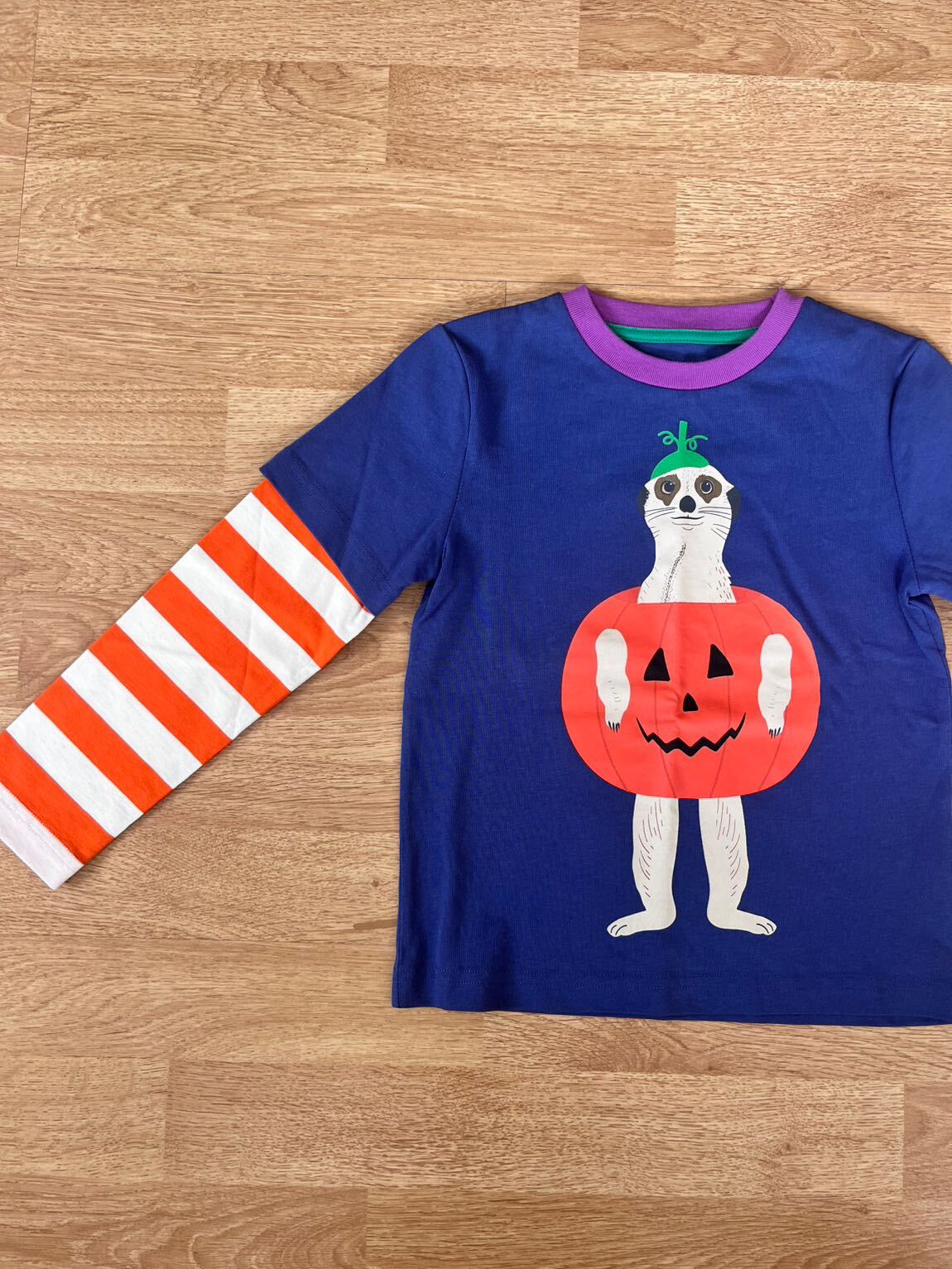 Mini Boden Tshirt — görsel 2/4
