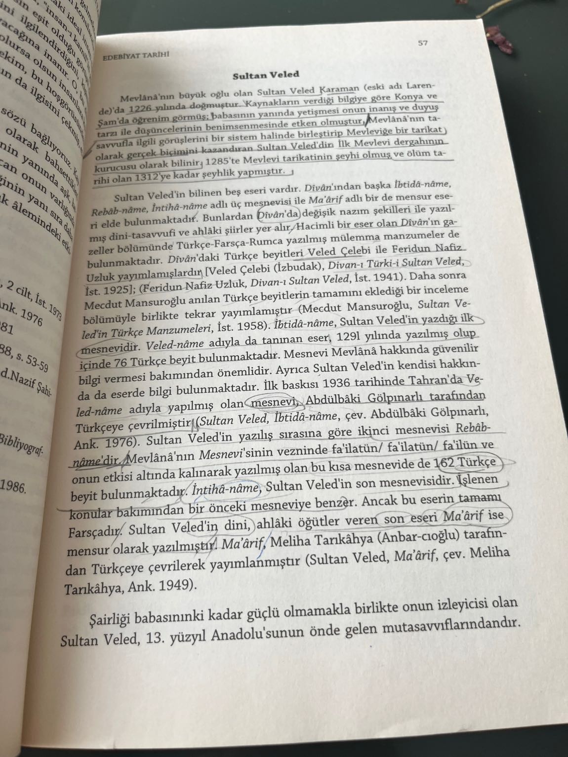 Eski Türk Edebiyatı Tarihi Kitabı — görsel 2/3