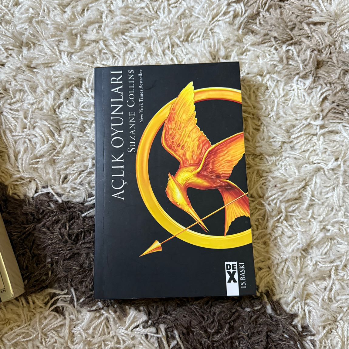 Açlık Oyunları Set — görsel 3/5