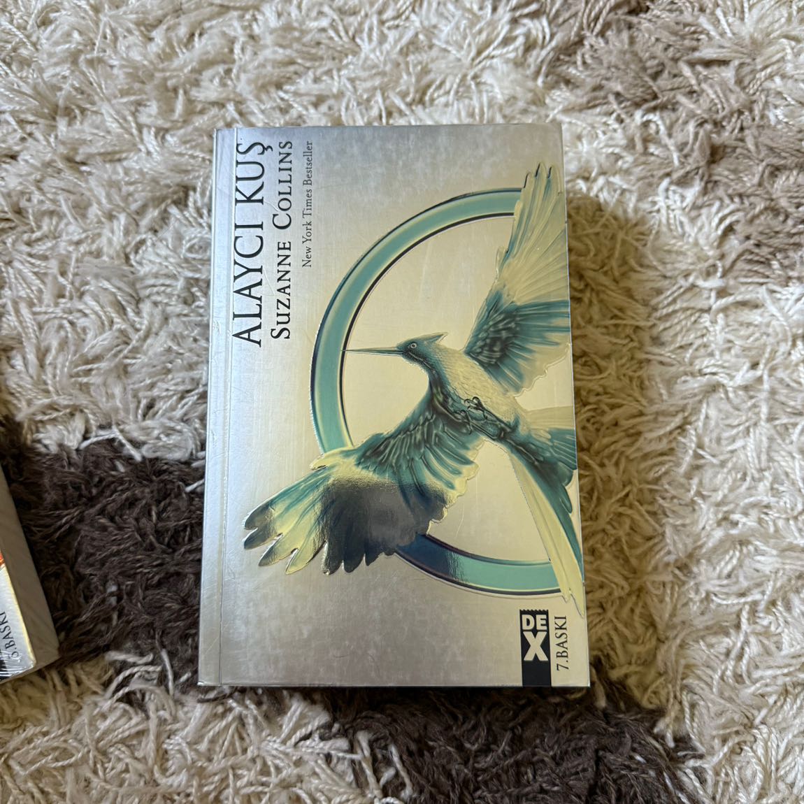 Açlık Oyunları Set — görsel 4/5