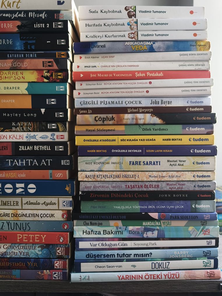 çeşitli karışık roman hikaye ortaokul — görsel 3/3