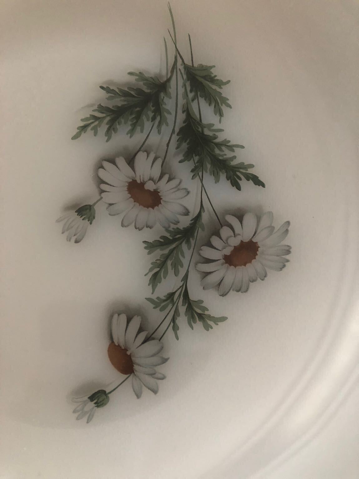 Arcopal france papatyalı — görsel 4/6