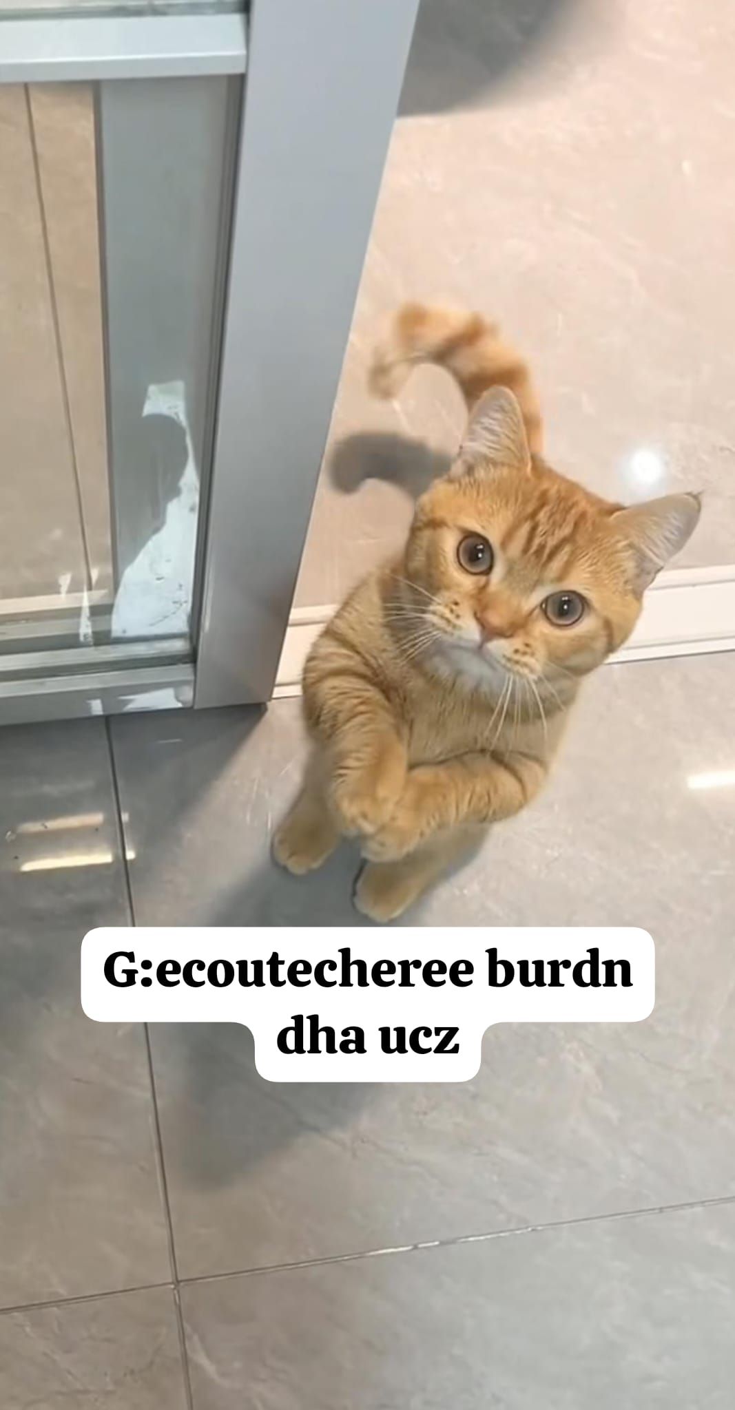 siyah goth jean — görsel 4/4